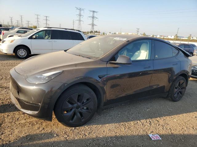 2025 TESLA MODEL Y, 