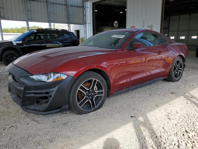 2019 FORD MUSTANG, 