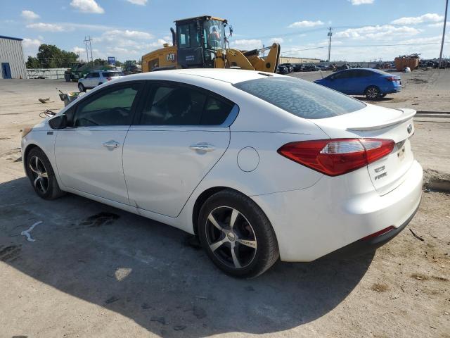 KNAFX4A8XF5272159 - 2015 KIA FORTE EX Ağ foto 2