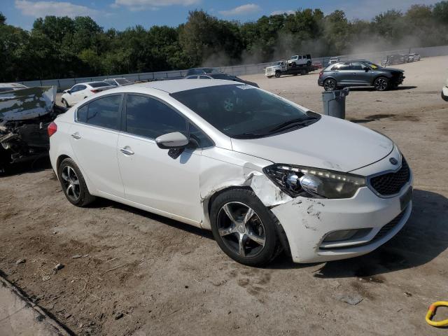 KNAFX4A8XF5272159 - 2015 KIA FORTE EX Ağ foto 4