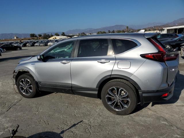 7FART6H50LE013519 - 2020 HONDA CR-V EX ვერცხლისფერი ფოტო 2