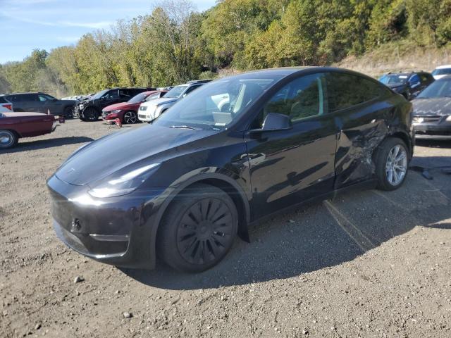 2023 TESLA MODEL Y, 