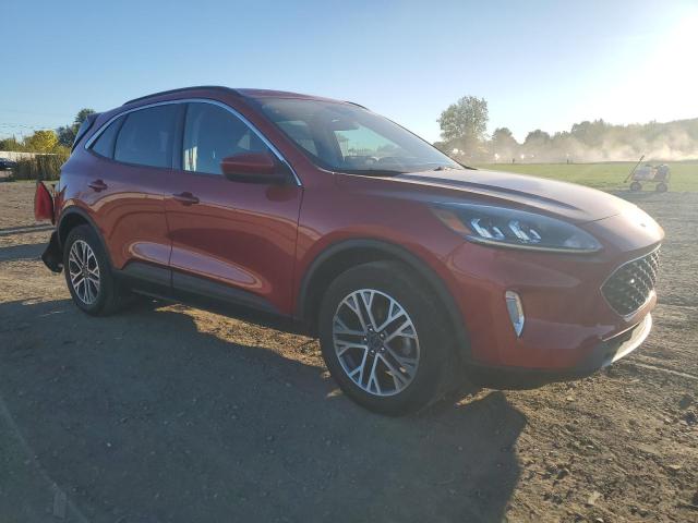 1FMCU9H68LUC35902 - 2020 FORD ESCAPE SEL 红色 照片 4