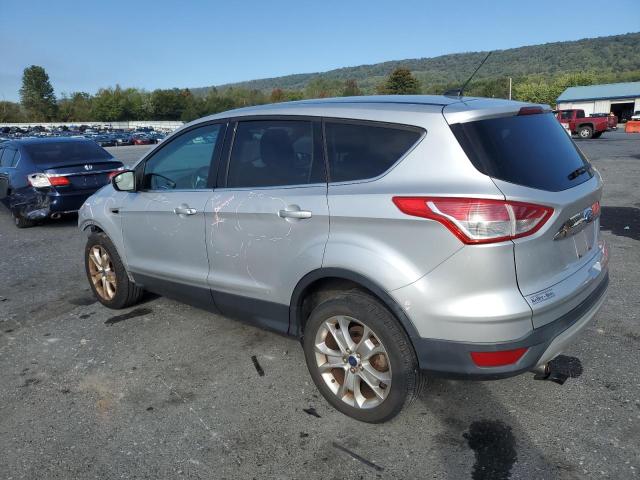 1FMCU9HX7DUD18974 - 2013 FORD ESCAPE SEL Серебристый фото 2
