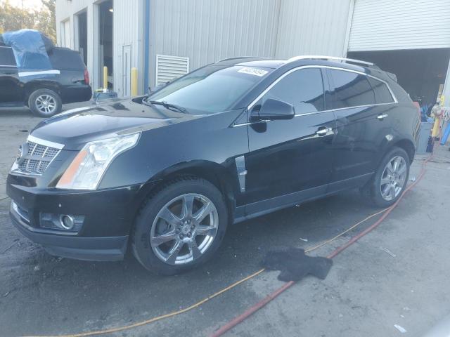 3GYFNBEY6BS569026 - 2011 CADILLAC SRX PERFORMANCE COLLECTION Qara foto 1