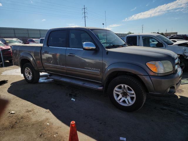 5TBET34196S498294 - 2006 TOYOTA TUNDRA DOUBLE CAB SR5 GRAY photo 4