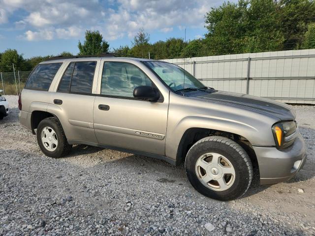 1GNDT13S722471833 - 2002 CHEVROLET TRAILBLAZE TAN photo 4
