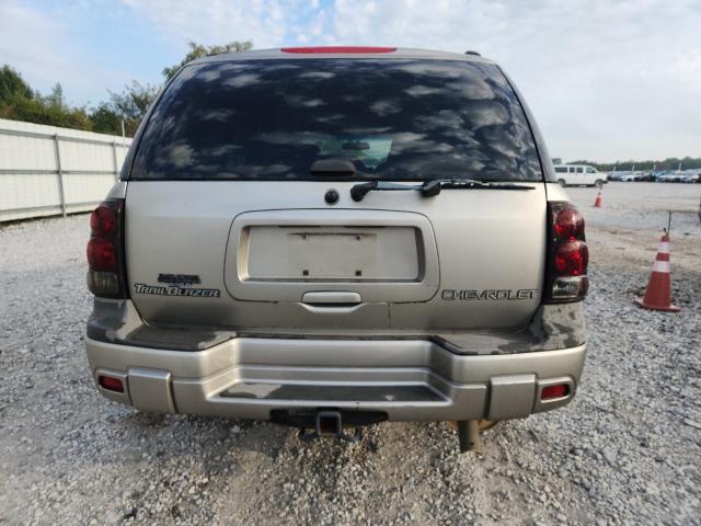 1GNDT13S722471833 - 2002 CHEVROLET TRAILBLAZE TAN photo 6