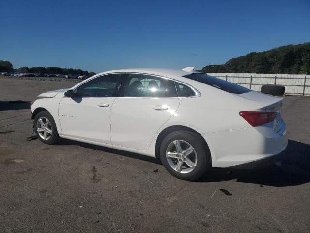 1G1ZD5ST4RF153984 - 2024 CHEVROLET MALIBU LT 白色 照片 2