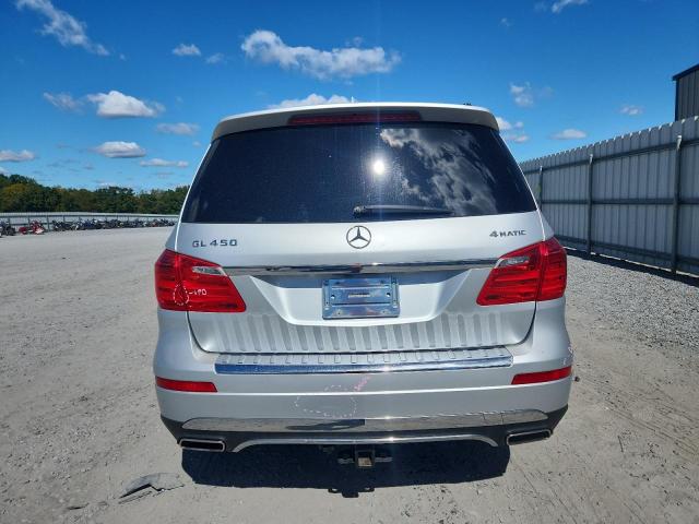 4JGDF7CE5DA221718 - 2013 MERCEDES-BENZ GL 450 4MATIC SILVER photo 6
