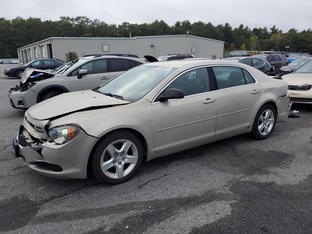2010 CHEVROLET MALIBU LS, 