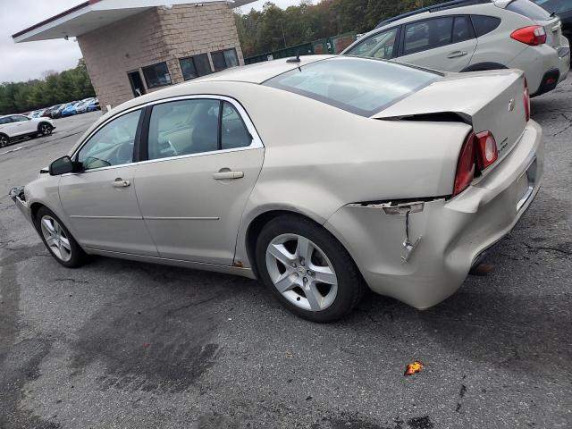 1G1ZB5EB2AF114226 - 2010 CHEVROLET MALIBU LS Krem fotoğraf 2