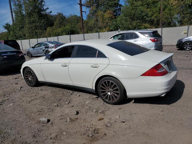 WDDDJ72XX9A148607 - 2009 MERCEDES-BENZ CLS 550 白色 照片 2