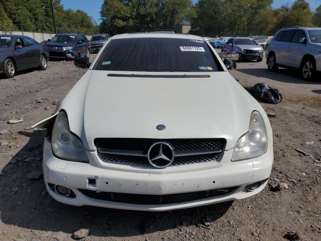 WDDDJ72XX9A148607 - 2009 MERCEDES-BENZ CLS 550 白色 照片 5