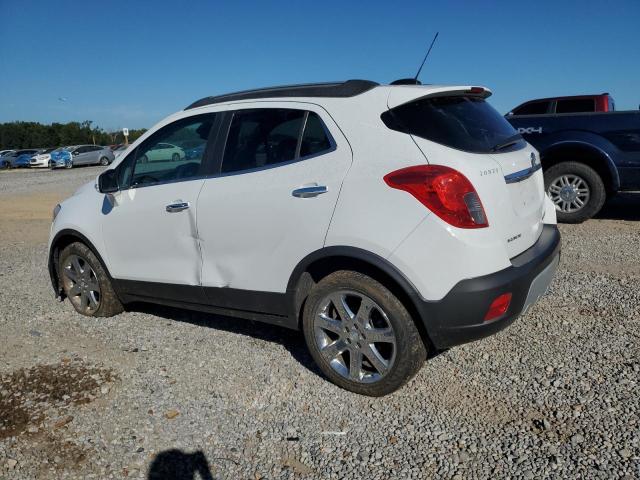 KL4CJCSB7GB705414 - 2016 BUICK ENCORE 白色 照片 2
