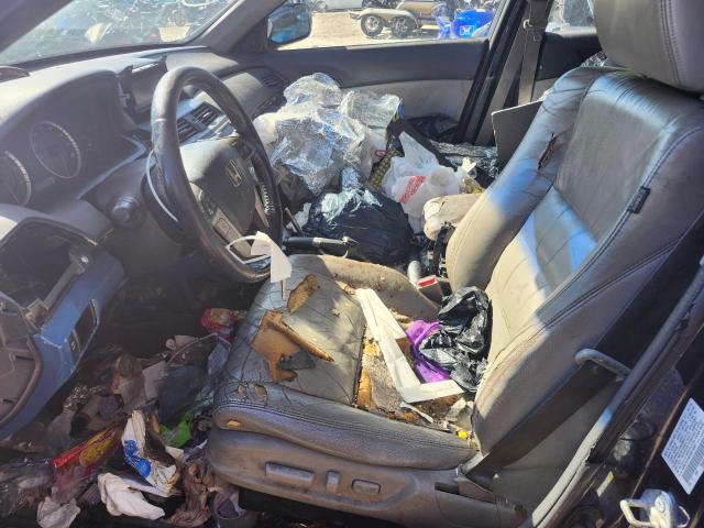 5KBCP3F89AB016001 - 2010 HONDA ACCORD EXL BLUE photo 7