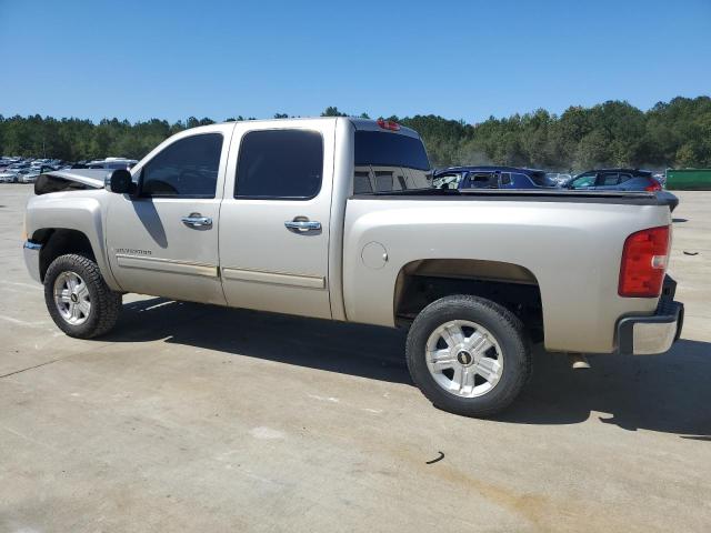 3GCEC23049G210016 - 2009 CHEVROLET SILVERADO C1500 LT Braun Foto 2