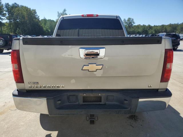 3GCEC23049G210016 - 2009 CHEVROLET SILVERADO C1500 LT Braun Foto 6