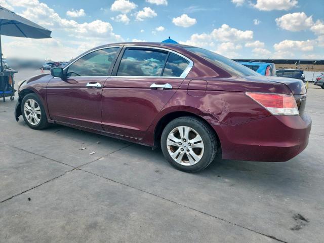 1HGCP26419A101393 - 2009 HONDA ACCORD LXP 勃艮第红 照片 2
