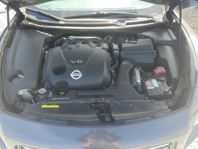 1N4AA5AP2AC823125 - 2010 NISSAN MAXIMA S ნაცრისფერი ფოტო 11