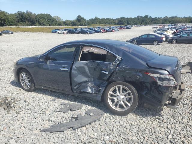 1N4AA5AP2AC823125 - 2010 NISSAN MAXIMA S ნაცრისფერი ფოტო 2