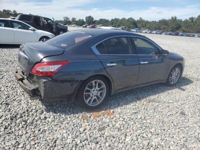 1N4AA5AP2AC823125 - 2010 NISSAN MAXIMA S ნაცრისფერი ფოტო 3