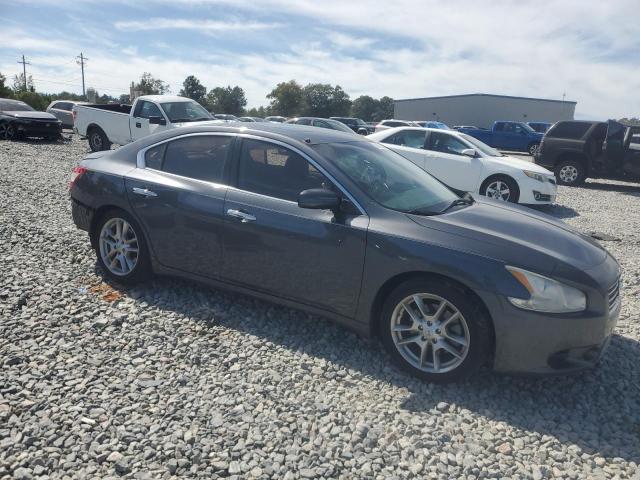 1N4AA5AP2AC823125 - 2010 NISSAN MAXIMA S ნაცრისფერი ფოტო 4