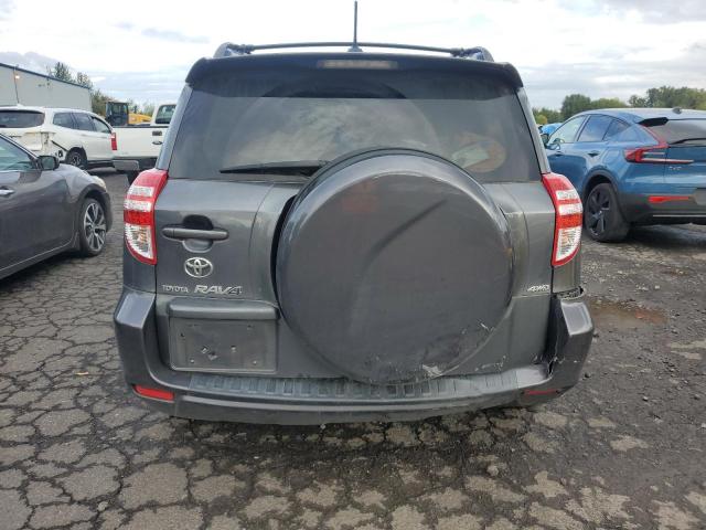 JTMBF32V79D013836 - 2009 TOYOTA RAV4 SPORT GRAY photo 6