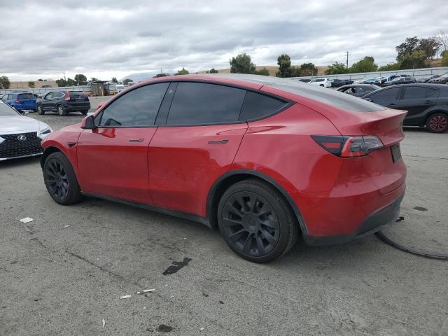 5YJYGDEE8MF139889 - 2021 TESLA MODEL Y Կարմիր լուսանկար 2