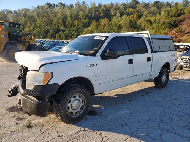 2014 FORD F150 SUPERCREW, 