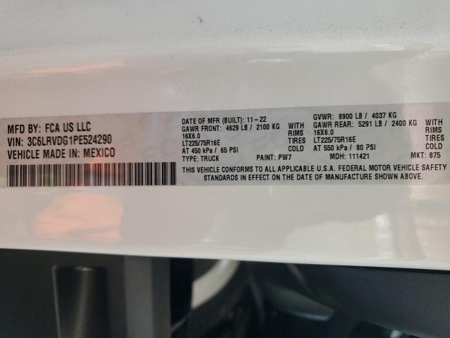 3C6LRVDG1PE524290 - 2023 RAM PROMASTER 2500 HIGH Ağ foto 13