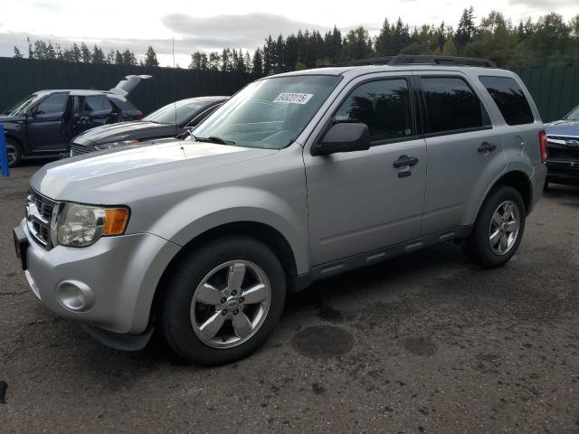 2011 FORD ESCAPE XLT, 