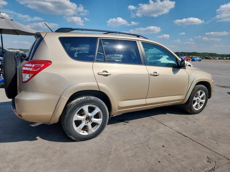 2T3BF31V59W014732 - 2009 TOYOTA RAV4 LIMITED Brun photo 3