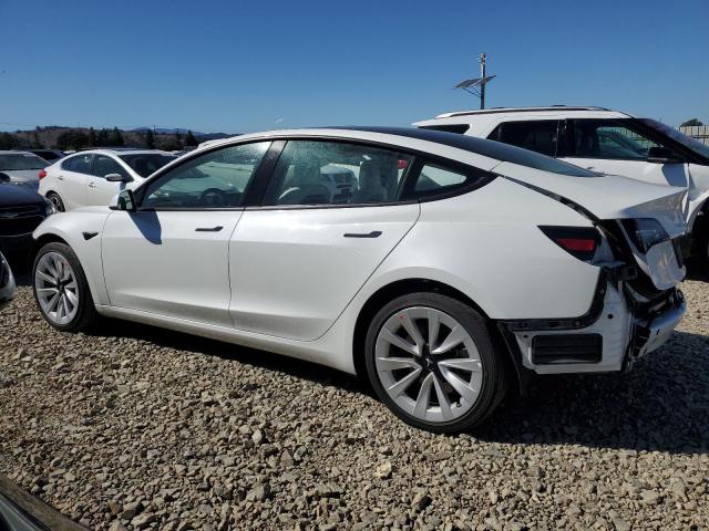 5YJ3E1EA2PF425981 - 2023 TESLA MODEL 3 Blanco foto 2