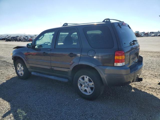 1FMCU93126KB48900 - 2006 FORD ESCAPE XLT 棕色 照片 2