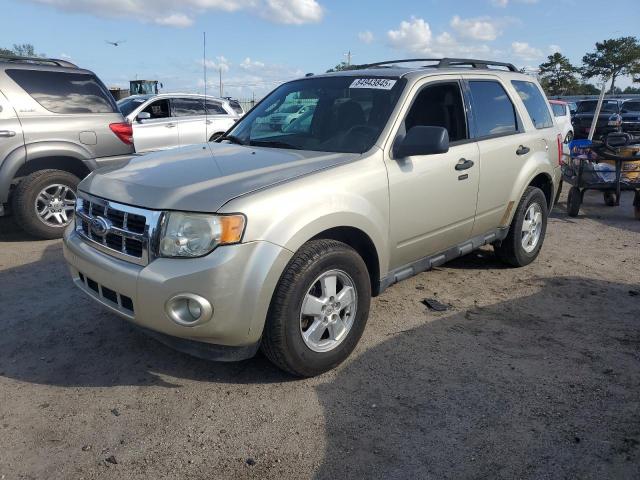 2012 FORD ESCAPE XLT, 