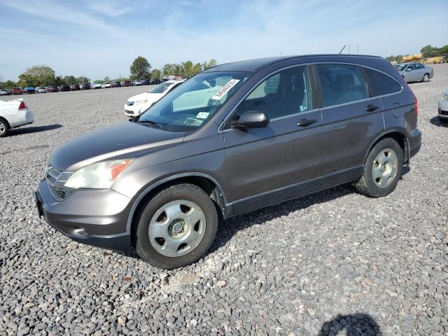 2010 HONDA CR-V LX, 