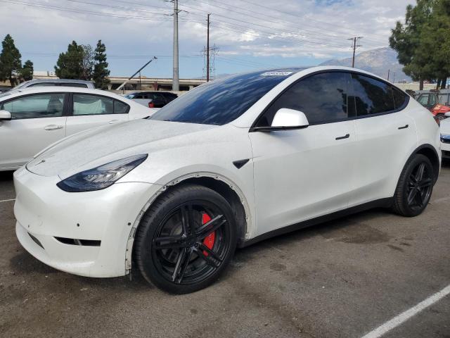 2020 TESLA MODEL Y, 