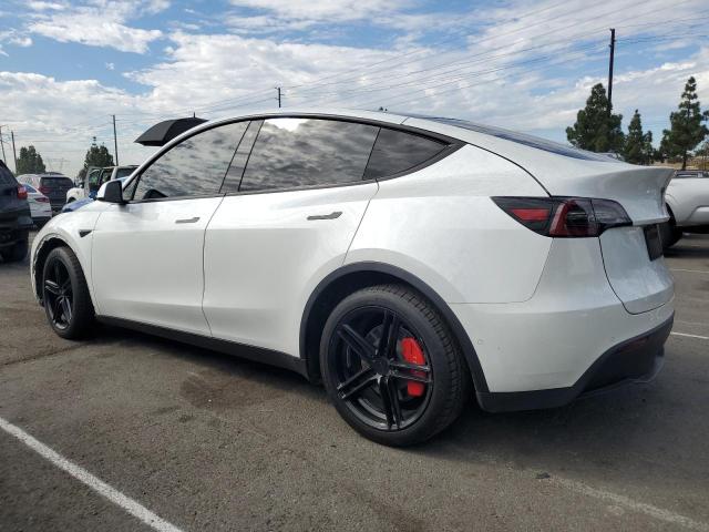 5YJYGDEE4LF015679 - 2020 TESLA MODEL Y Ağ foto 2