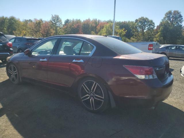 1HGCP368X8A055196 - 2008 HOND ACCORD EXL 勃艮第红 照片 2