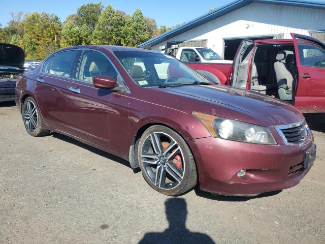 1HGCP368X8A055196 - 2008 HOND ACCORD EXL 勃艮第红 照片 4