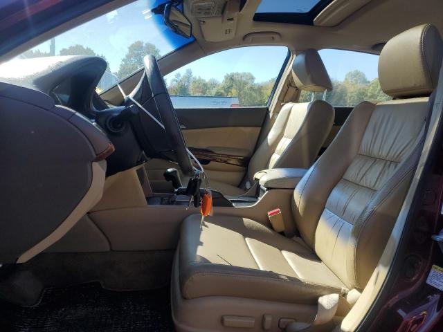 1HGCP368X8A055196 - 2008 HOND ACCORD EXL 勃艮第红 照片 7