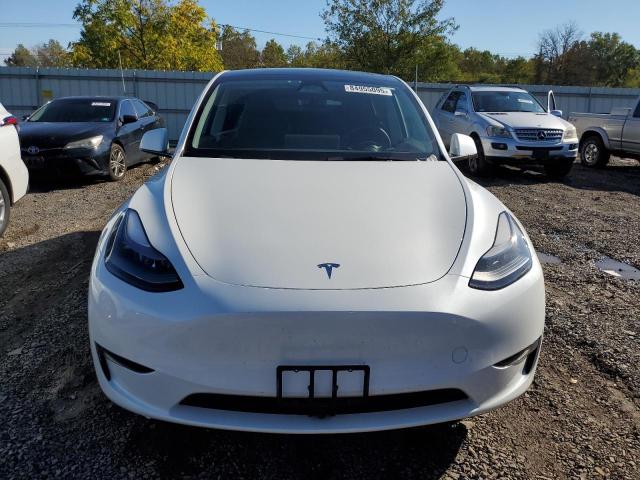7SAYGDED9PF923562 - 2023 TESLA MODEL Y 白色 照片 5