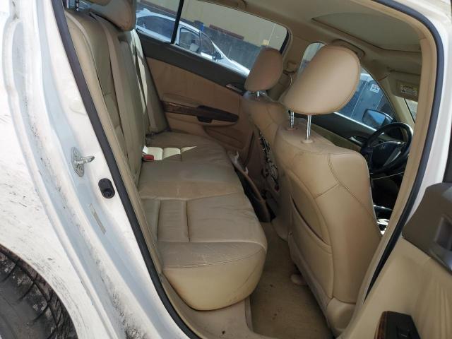 JHMCP26878C028386 - 2008 HONDA ACCORD EXL WHITE photo 10