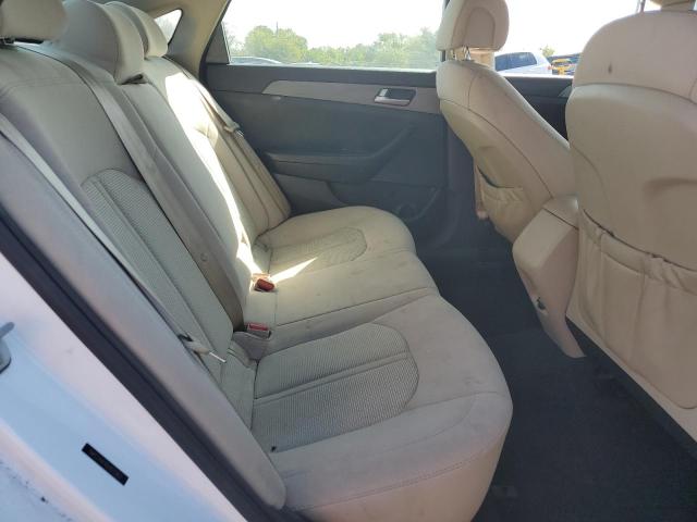 5NPE24AF9GH423263 - 2016 HYUNDAI SONATA SE 白色 照片 10