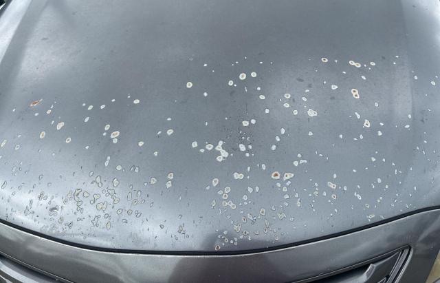 4T1BE46K17U588130 - 2007 TOYOTA CAMRY CE ნაცრისფერი ფოტო 11