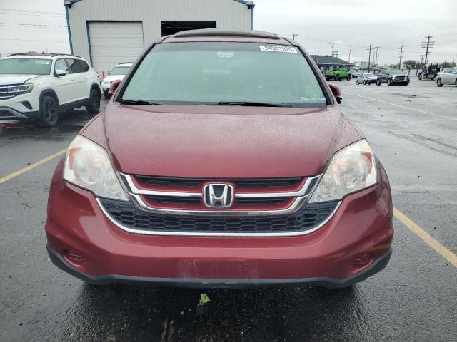 5J6RE4H77BL071435 - 2011 HONDA CR-V EXL BURGUNDY photo 5