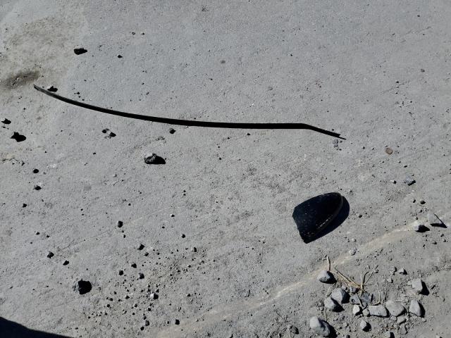 3KPF24AD6KE106962 - 2019 KIA FORTE FE BLACK photo 12