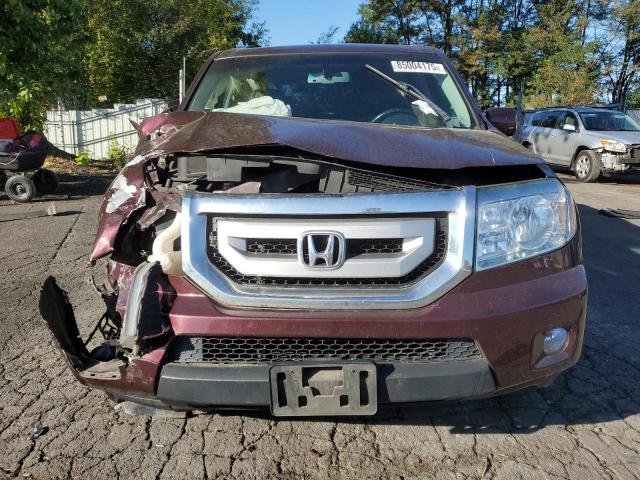 5FNYF4H61AB027406 - 2010 HONDA PILOT EXL BURGUNDY photo 5