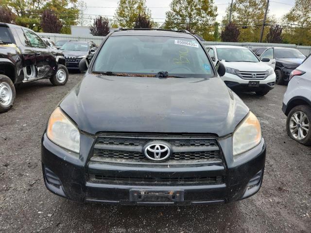 2T3BF4DV7CW221096 - 2012 TOYOTA RAV4 黑色 照片 5